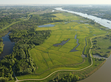 Potpolder, grootste natuurreservaat van Oost-Vlaanderen, Sigmaplan, Rupelonde, Bazel, Kruibeke, over